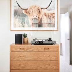 Yamaha MusicCast VINYL 500