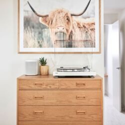 Yamaha MusicCast VINYL 500