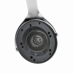 Focal Elegia