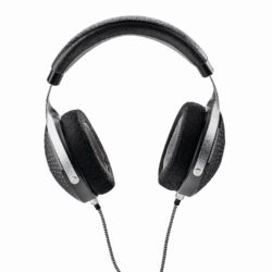 Focal Elegia
