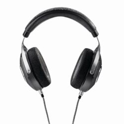 Focal Elegia