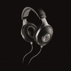 Focal Elegia