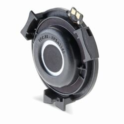 Focal Elegia