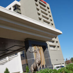Rocky Mountain Audio Fest (RMAF) 2018, Denver Marriott Tech Center