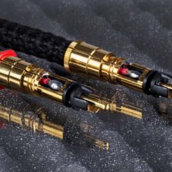 HMS Suprema RCA mit WBT PlasmaProtect Stecker