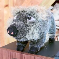 MHW Audio Sonthofen Reportage