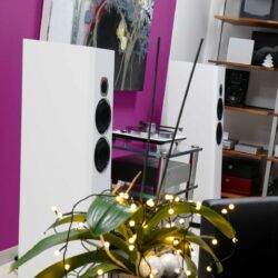 Transparent Acoustic Dmitry Valdin, Bad Homburg