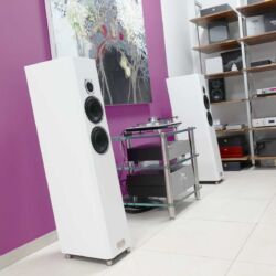 Transparent Acoustic Dmitry Valdin, Bad Homburg