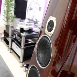 Transparent Acoustic Dmitry Valdin, Bad Homburg