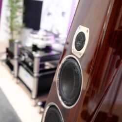 Transparent Acoustic Dmitry Valdin, Bad Homburg