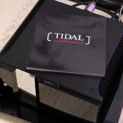 Transparent Acoustic Dmitry Valdin, Bad Homburg