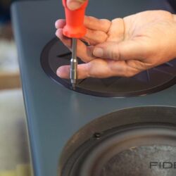 Who is Who in High Fidelity – Manger Audio