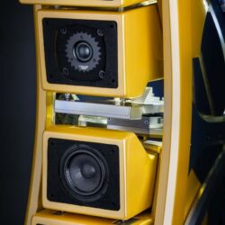 Wilson Audio Chronosonic XVX Saffron Pearl