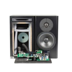 Dynaudio Xeo 20 Aktivlautsprecher