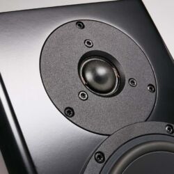Dynaudio Xeo 20 Aktivlautsprecher