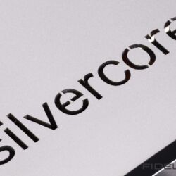 Silvercore Daland Phonovorverstärker