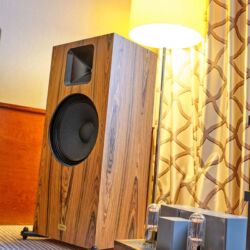 Westdeutsche HiFi-Tage 2019 durch HiFi Linzbach im Hotel Maritim Bonn