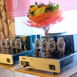 Westdeutsche HiFi-Tage 2019 durch HiFi Linzbach im Hotel Maritim Bonn