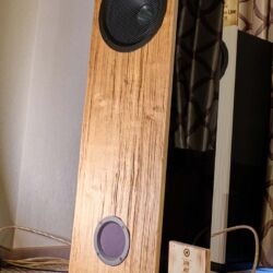 Westdeutsche HiFi-Tage 2019 durch HiFi Linzbach im Hotel Maritim Bonn