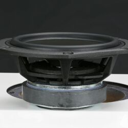 Phonar Veritas p10 Next