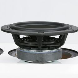 Phonar Veritas p10 Next