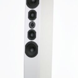 Phonar Veritas p10 Next