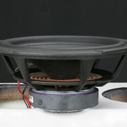 Phonar Veritas p10 Next