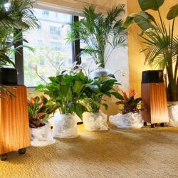 Die New York Audio Show 2019 im Park Lane Hotel