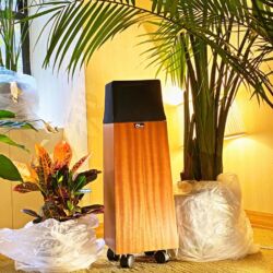 Die New York Audio Show 2019 im Park Lane Hotel