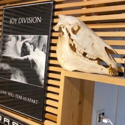 noho sound New York City