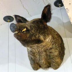 noho sound New York City