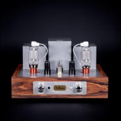 Thivan Labs 811 Vollverstärker