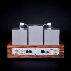 Thivan Labs 811 Vollverstärker