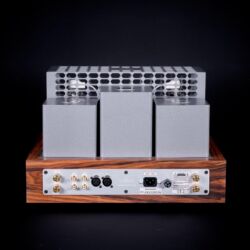 Thivan Labs 811 Vollverstärker