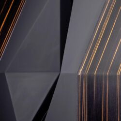 FIDELITY Award 2020 FinkTeam Borg