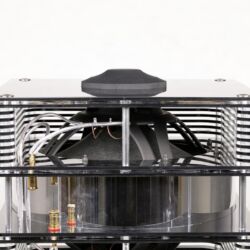 ModalAkustik MusikBass