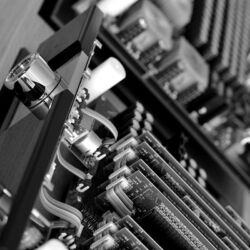 Who is Who in High Fidelity Tidal Audio Ambient Detail