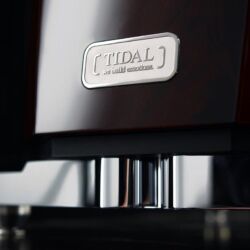Who is Who in High Fidelity Tidal Audio Ambient Detail