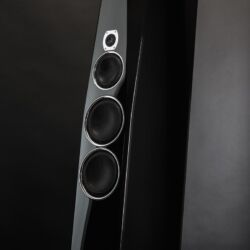 Who is Who in High Fidelity Tidal Audio Contriva