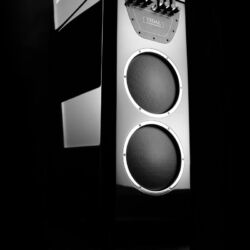 Who is Who in High Fidelity Tidal Audio La Assoluta