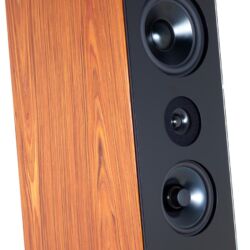 Audio Physic Codex Standlautsprecher