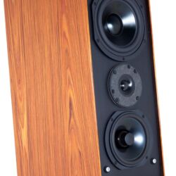 Audio Physic Codex Standlautsprecher