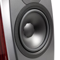 Dynaudio Confidence 20