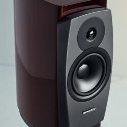 Dynaudio Confidence 20