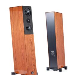 FIDELITY Award 2020 Audio Physic Codex