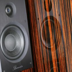 FIDELITY Award 2020 Burmester B18