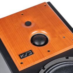 KS Digital KSD AB 300 Aktivlautsprecher