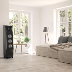 Goya Acoustics Moajaza