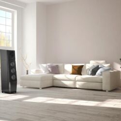 Goya Acoustics Moajaza