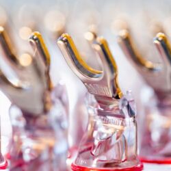 WBT PVD PlasmaProtect